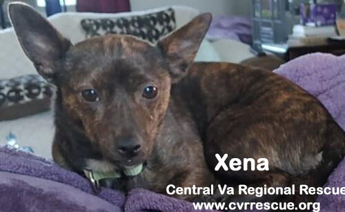 Xena